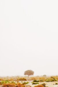 転売を使った副業で月5万稼ぐためのポイントは？