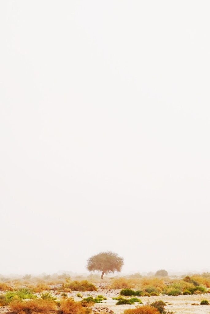 転売を使った副業で月5万稼ぐためのポイントは？