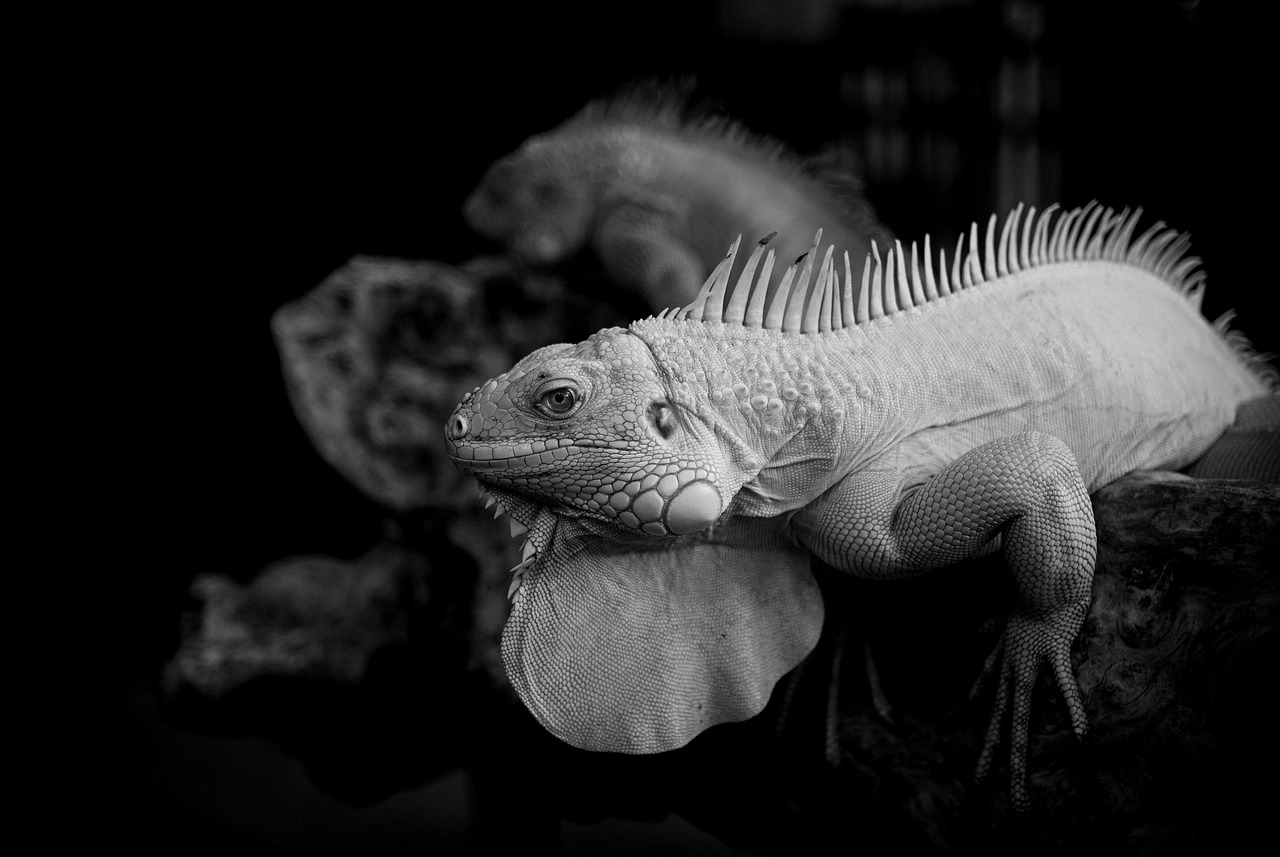 せどり初心者が知っておくべき失敗例とは？