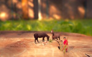 副業を0円で始める在宅の方法は？