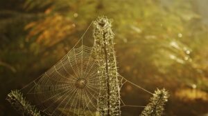 副業としてのWebライター案件の取り方は？